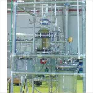 Customized Pilot Plant from Super Scientific Works Pvt Ltd