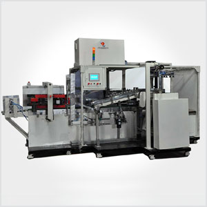 Automatic Case Packer Machine from Jawla Engineering Pvt. Ltd.