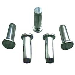 Flat Rivets from Tkw Fasteners Pvt Ltd