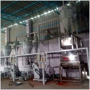 Automatic Spice Plant from Rising Industries