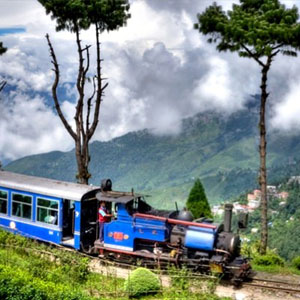 Bagdogra Ltc Full Fare Package