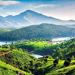 Kerala 6N 7D Ltc 80 Package