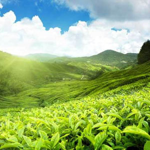 Kerala Ltc Full Fare Package