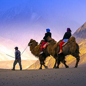 Leh 4N 5D Ltc Full Fare Package