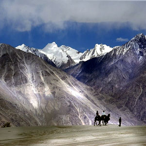 Leh Ltc 80 Package