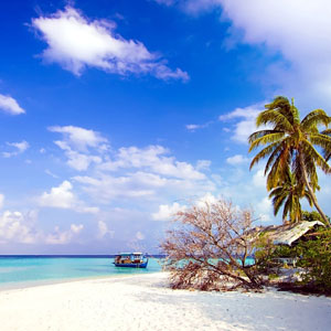 Port blair with Goa Ltc Package