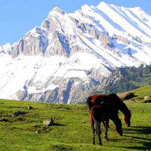 SRINAGAR 4N 5D LTC 80 PACKAGES