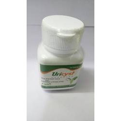 Ayurvedic Kidney Stone Capsules in Chandigarh
