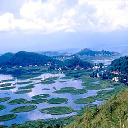 LTC 80 Imphal Package in Delhi