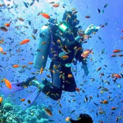 Lakshadweep LTC Full Fare Package from Ltc Bharat