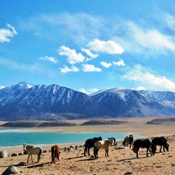 Leh LTC Full Fare Package from Ltc Bharat