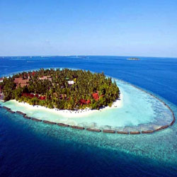 LTC 80 Portblair Package from Ltc Bharat