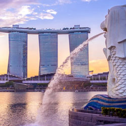 LTC Singapore Package from Ltc Bharat