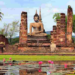 LTC Thailand Package from Ltc Bharat