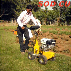 Sod Cutter from Paras Engg. Works