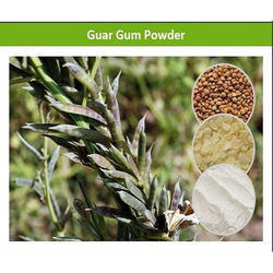 Guar Gum Feed Grade