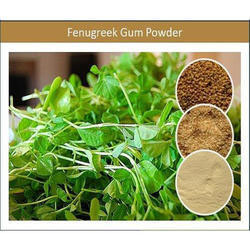 Guar Gum Products