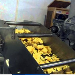 Potato Chips Making Mini Plant