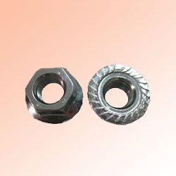Flange Nuts
