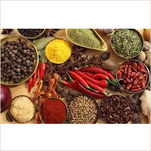 Indian Spices