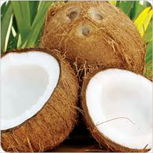 Coconut