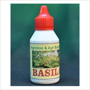 Basil Oil