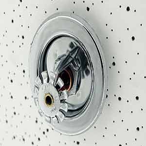 Fire Sprinkler System
