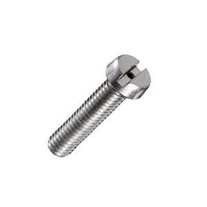 Cheese Head Screw Slotted
