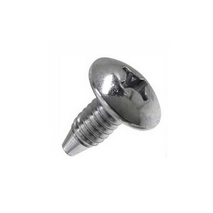 Truss Head Screws