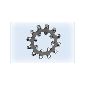 Internal and External Tooth lock Washer