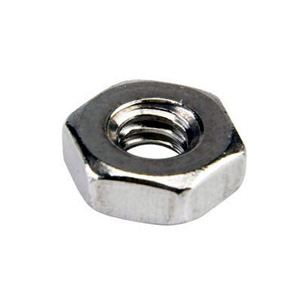 SS Hex Nut in Delhi