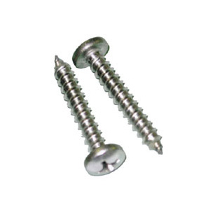 Pan Philips Head Self Tapping Screw in Delhi