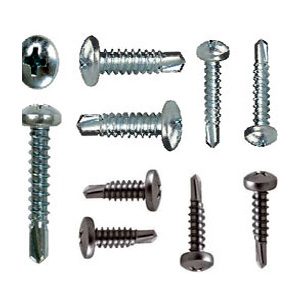 Pan Philips Self Drilling Screw Trader