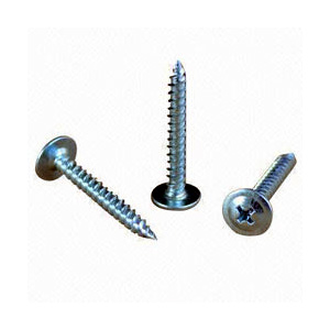 Trust Head Self Tapping Screw in Delhi