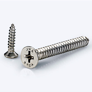 Crossed Recessed Countersunk Head Tapping Manufacturer
